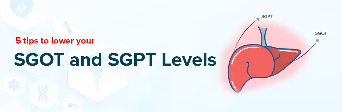 5 Tips To Lower Your SGOT and SGPT Levels